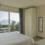 Agrifoglio