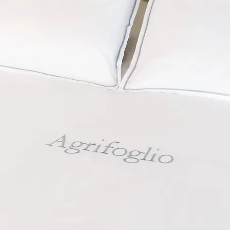Agrifoglio * Baveno